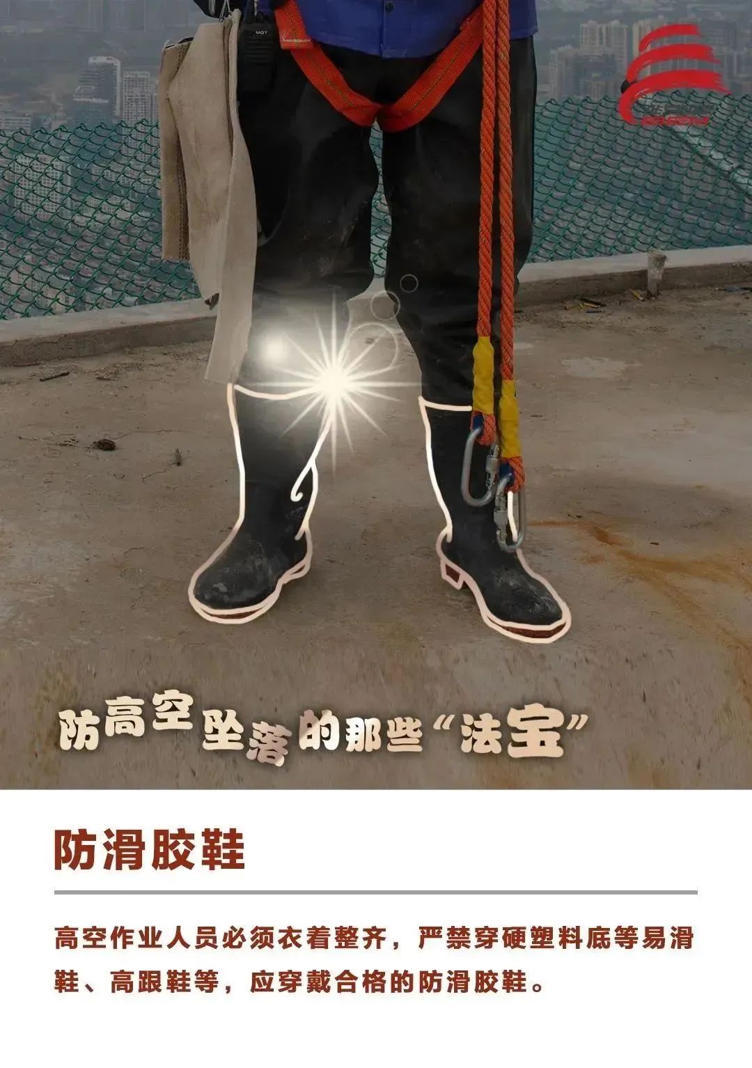 202558