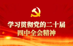 学习贯彻党的二十届四中全会精神